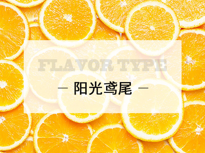 陽(yáng)光鳶尾/Sunshine iris